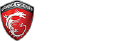 Msi Bilgisayar Logosu